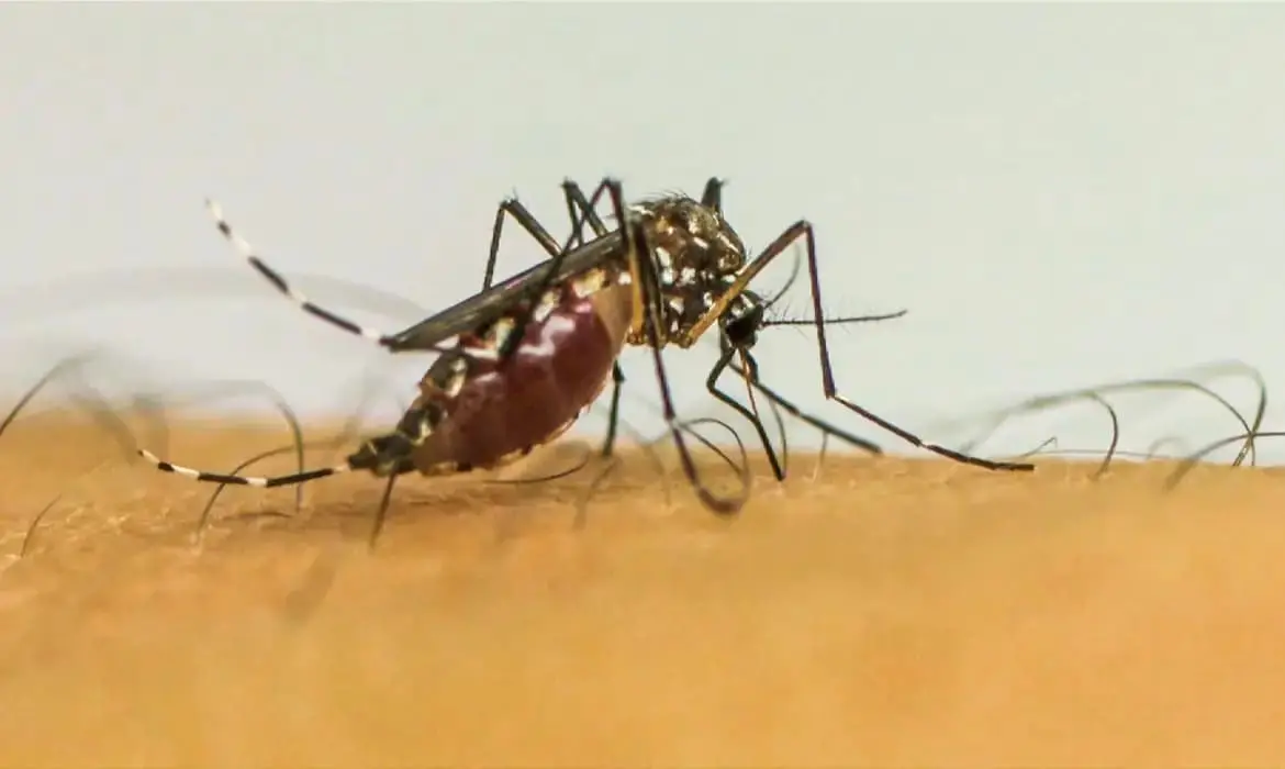 Acre registra quase 2 mil casos prováveis de dengue em 2026 e mantém zero mortes pela doença
