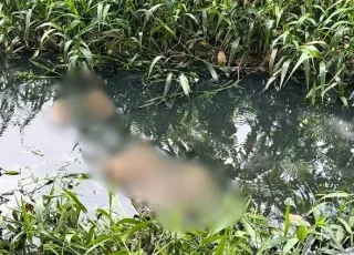 Corpo de homem é encontrado em córrego de esgoto