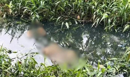 Corpo de homem é encontrado em córrego de esgoto